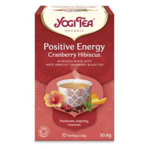 pisitive-energy-17-φακελάκια-30-6gr-yogi-tea-orange-bio